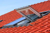 Vicarscross roof window